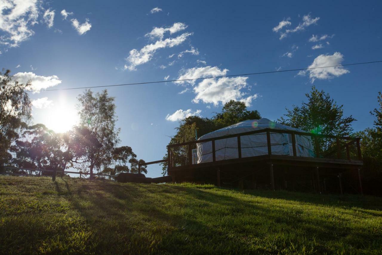 Awesome Glamping Gold Coast Hinterland Ξενοδοχείο Advancetown Εξωτερικό φωτογραφία